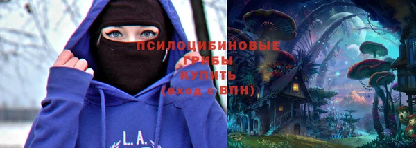 стафф Нефтегорск