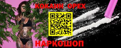 гидра Дубна