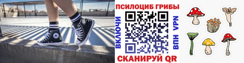 Галлюциногенные грибы мухоморы  MEGA ONION  Зима  где найти наркотики 