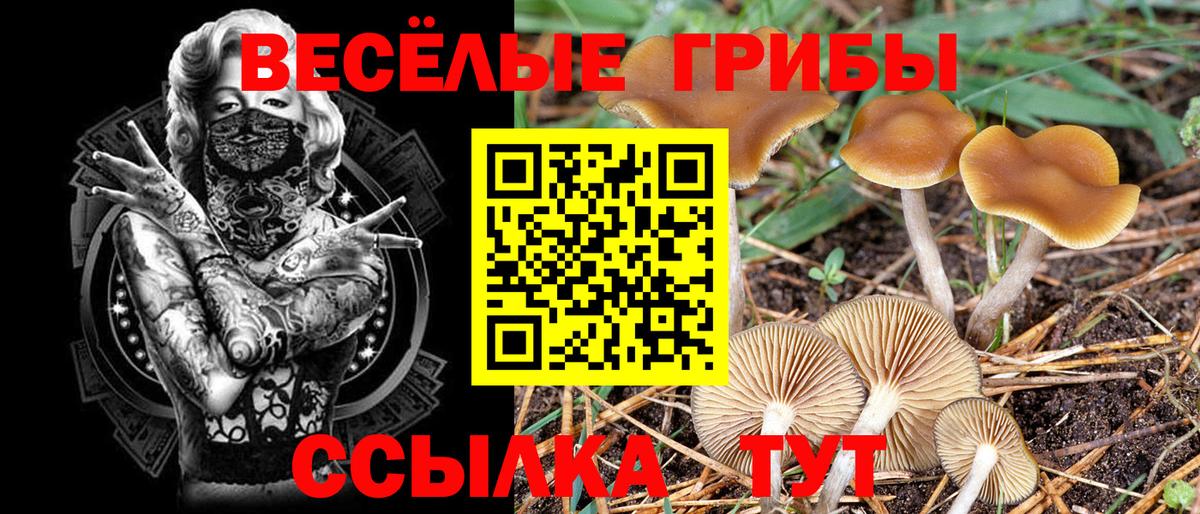 Псилоцибиновые грибы MAGIC MUSHROOMS Зима