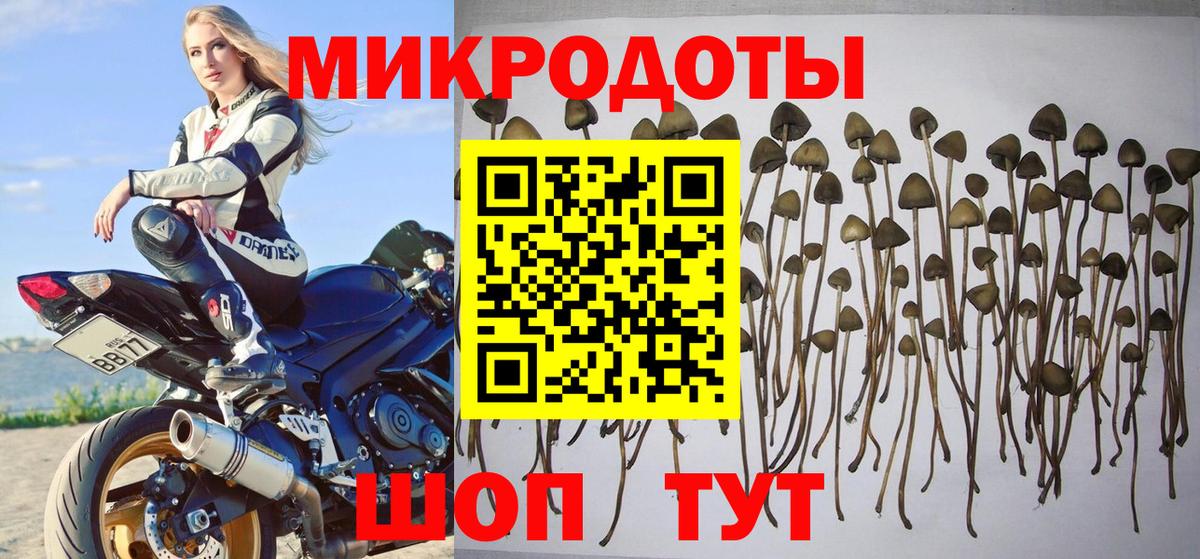 Псилоцибиновые грибы ЛСД  Вход с VPN  как найти наркотики  Зима 